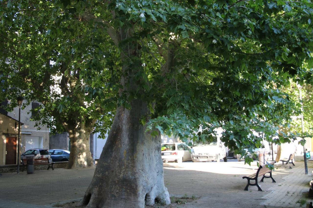 شقة Cosy Corner LʼIsle-sur-la-Sorgue المظهر الخارجي الصورة